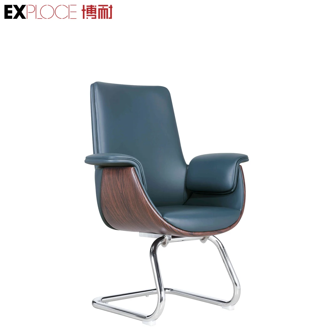 Lassic Ergonomic Lumbar Support Multifunctional Office Chair Hot Sale Products